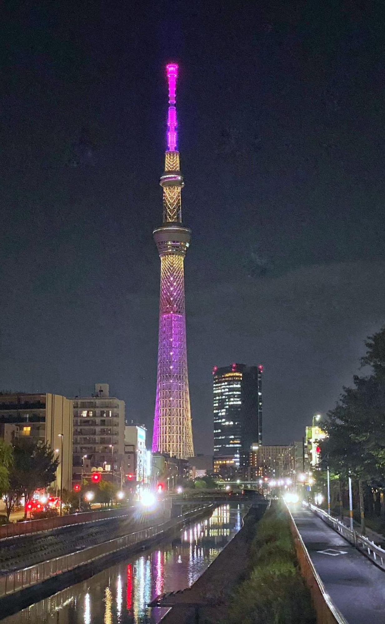 Tokyo Sakura Hotel Zewnętrze zdjęcie